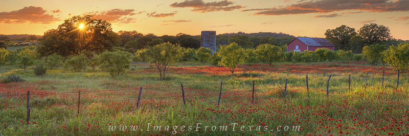 texas wildflowers,texas wildflower panorama,texas landscape,texas hill country,hill country wildflowers panorama,prints,wildflower photos