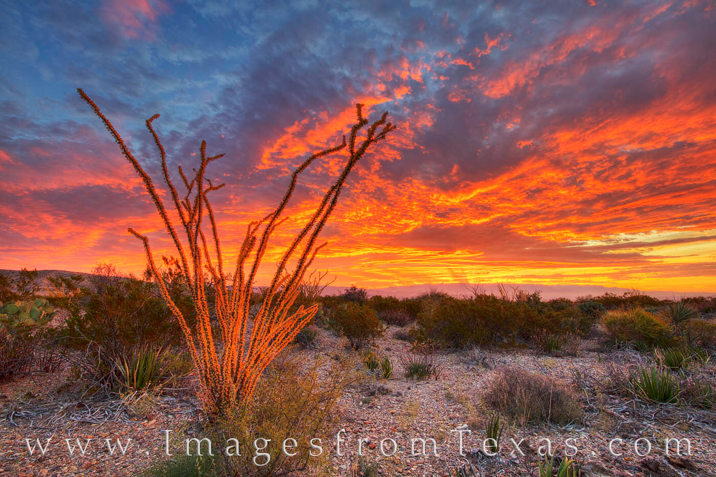 big bend national park, sunset, texas sunset, ocotillo, texas landscapes, chihuahuan desert, chisos mountains