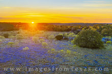 Aerial Bluebonnet Sunset in the Hill Country 413-2