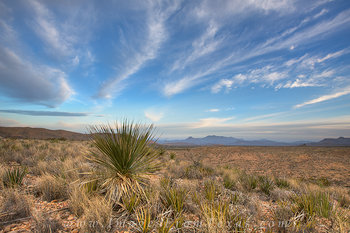 After Sunrise in Big Bend National Park 