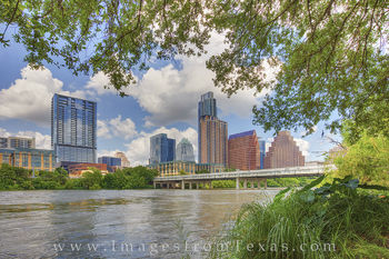 Austin Texas in the Shade