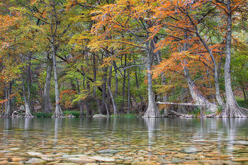 Autumn Colors at Garner State Park 1