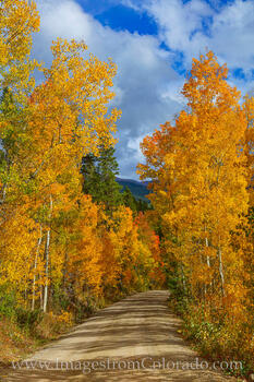 Autumn Colors of Winter Park 929-1