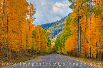 Autumn Country Roads 103-1