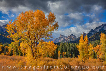 Autumn Gold and Precipice Peak 1