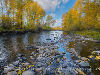 Autumn along the Fraser River 927-2