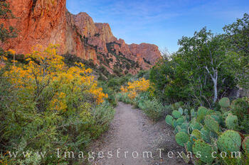 Autumn along the Window Trail 1