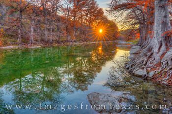 Fall colors show up in the cypress trees along the Pedernales River in late November.