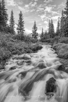 Back and White Morning near Berthoud Pass 1