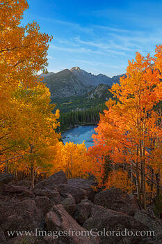 Bear Lake Autumn Sunrise, RMNP 101-3