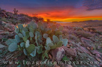 Before Sunrise - Lone Mountain 1116-1