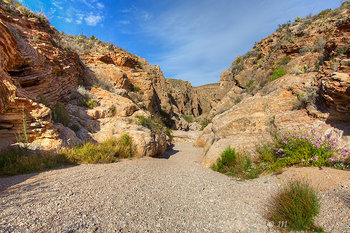 Big Bend - Canyon in the Ernst Basin