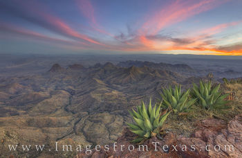Big Bend Agave at the South Rim 2