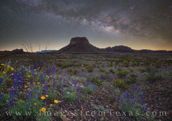 Big Bend Bluebonnets Under the Milky Way 1