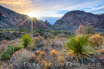 Big Bend Images - Window Sunrise 2