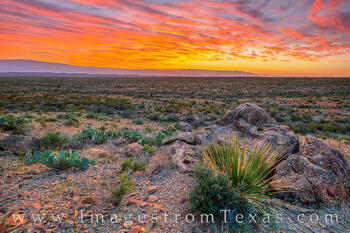Big Bend November Sunrise 118-1