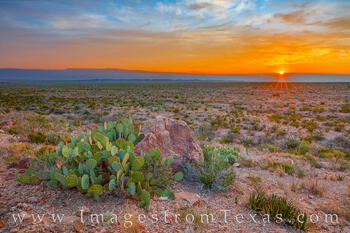 Big Bend November Sunrise 118-2