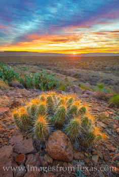 Big Bend Sunrise 302-1
