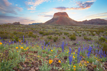 Big Bend Sunrise from Castalon 1