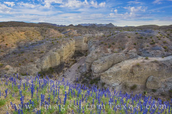 Bluebonnets over Tuff Canyon 2