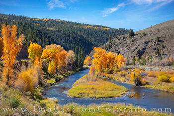 Byers Canyon Fall Colors 103-1