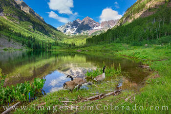 Maroon Bells and Canada Geese 2