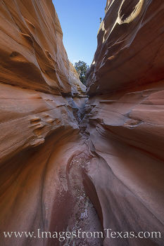 Central Utah Upper Slot 4 - Palo Duro