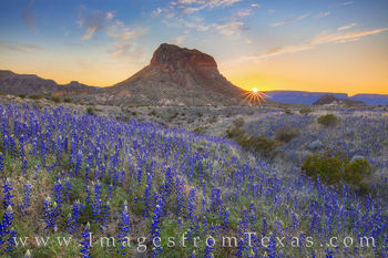 Cerro Castellan and Bluebonnets at Sunset 21