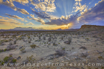 Chihuahuan Desert Sunset 303-1