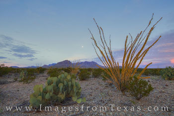 Chisos Mountains November Morning 1