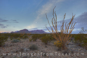 Chisos Mountains November Morning 2