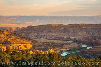 Colorado River from Rattlesnake Canyon Morning 1