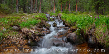 Current Creek Panorama 628-1
