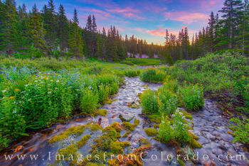 Current Creek before Sunrise 726-1