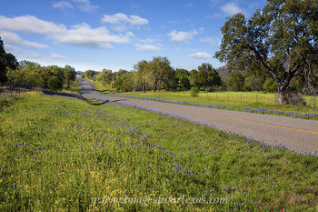Early Spring Texas Hill Country Roads