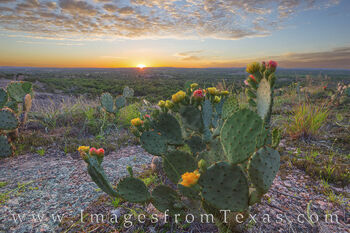 Enchanted Rock Prickly Pear Evening 2
