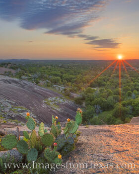 Enchanted Rock Prickly Pear Sunset 2