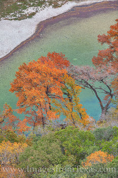 Fall Colors along the Frio River 1114-2
