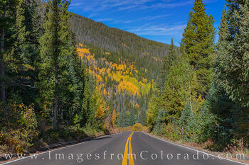 Fall Colors on Trail Ridge Road 102-1