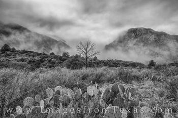 Foggy Afternoon at the Window Black and White - BBNP 1
