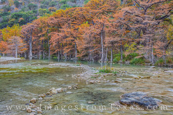 Frio River Colors in Autumn 1112-1