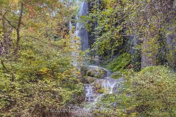 Gorman Falls at Colorado Bend State Park 3