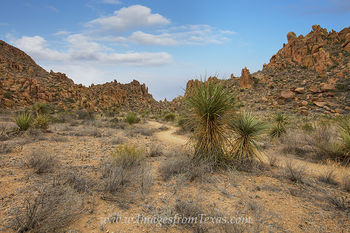Grapevine Hills Trail 1