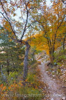 Guadalupe Peak Trail Fall Colors 1