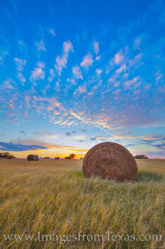 Hay at Sunset 1125