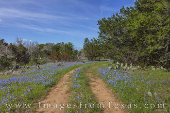 Hill Country Path 41-1