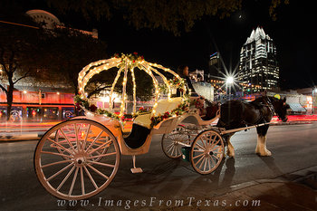 Horse and Carriage on Sixth Street