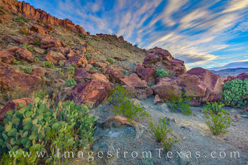 Indian Head Morning - Big Bend NP 301-1