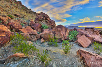 Indian Head Morning - Big Bend NP 301-2