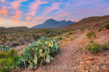 Lone Mountain Trail at Sunrise 118-1